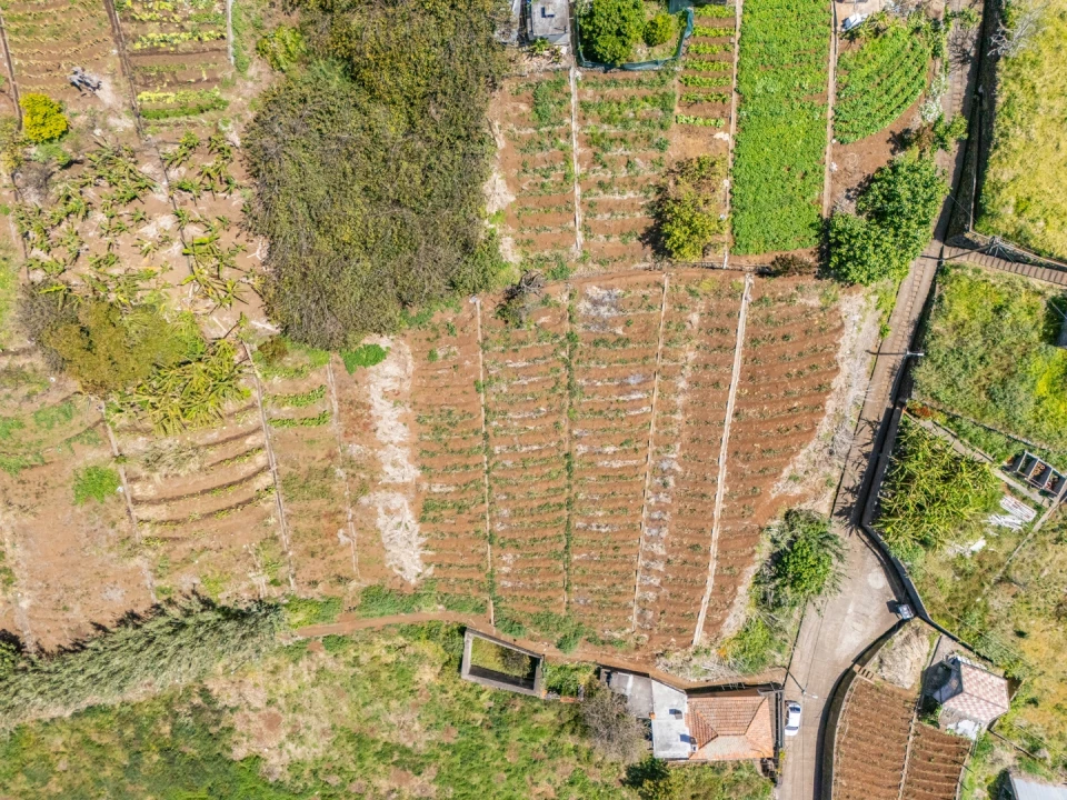 Terreno para Venda em Ponta do Sol Foto 4