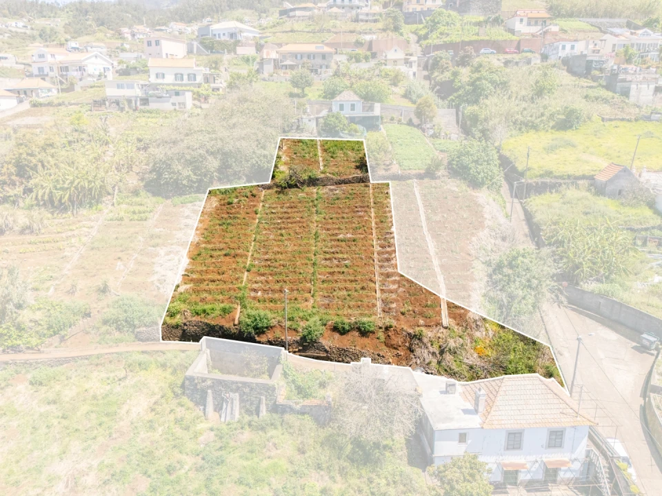 Terreno para Venda em Ponta do Sol Foto 17