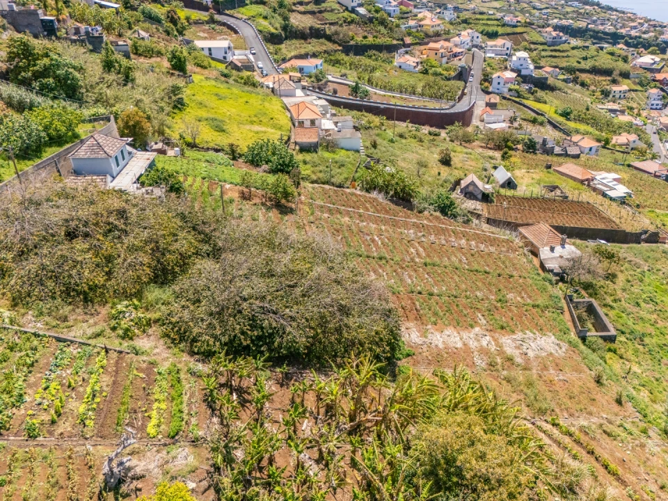 Terreno para Venda em Ponta do Sol Foto 19