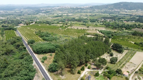 Terreno Agricola ou Rústico para Venda em Vale Formoso e Aldeia do Souto