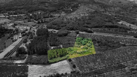 Terreno Agricola ou Rústico para Venda em Vale Formoso e Aldeia do Souto