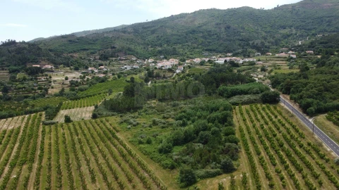 Terreno Agricola ou Rústico para Venda em Vale Formoso e Aldeia do Souto