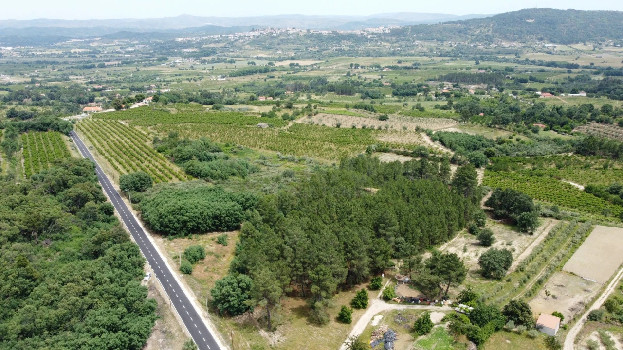 Terreno Agricola ou Rústico para Venda em Vale Formoso e Aldeia do Souto Foto 5