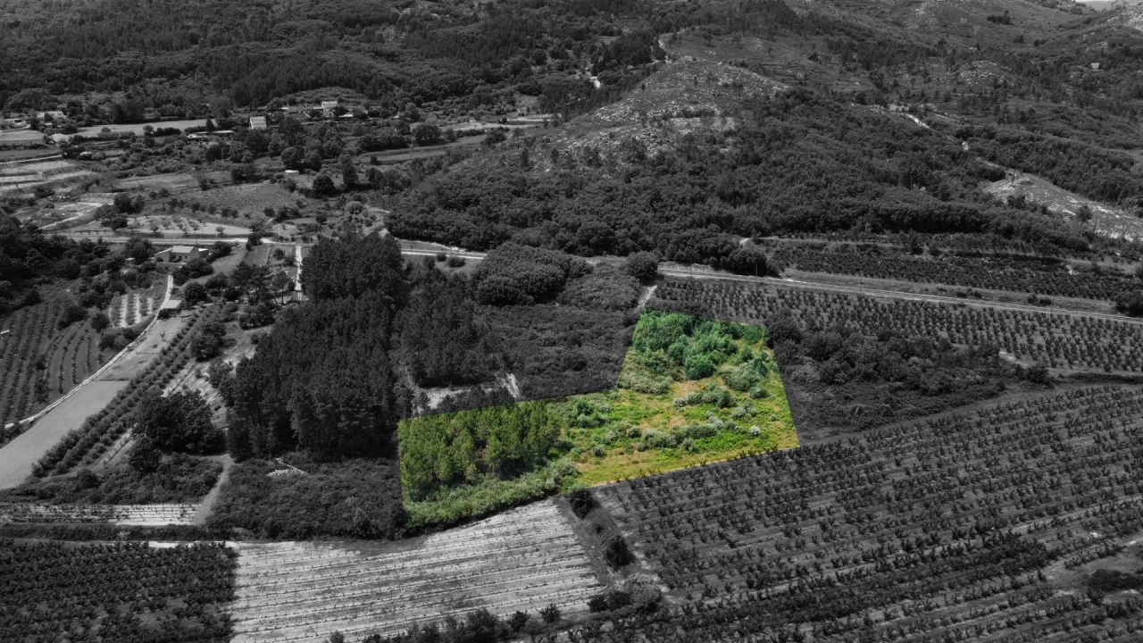 Terreno Agricola ou Rústico para Venda em Vale Formoso e Aldeia do Souto Foto 1