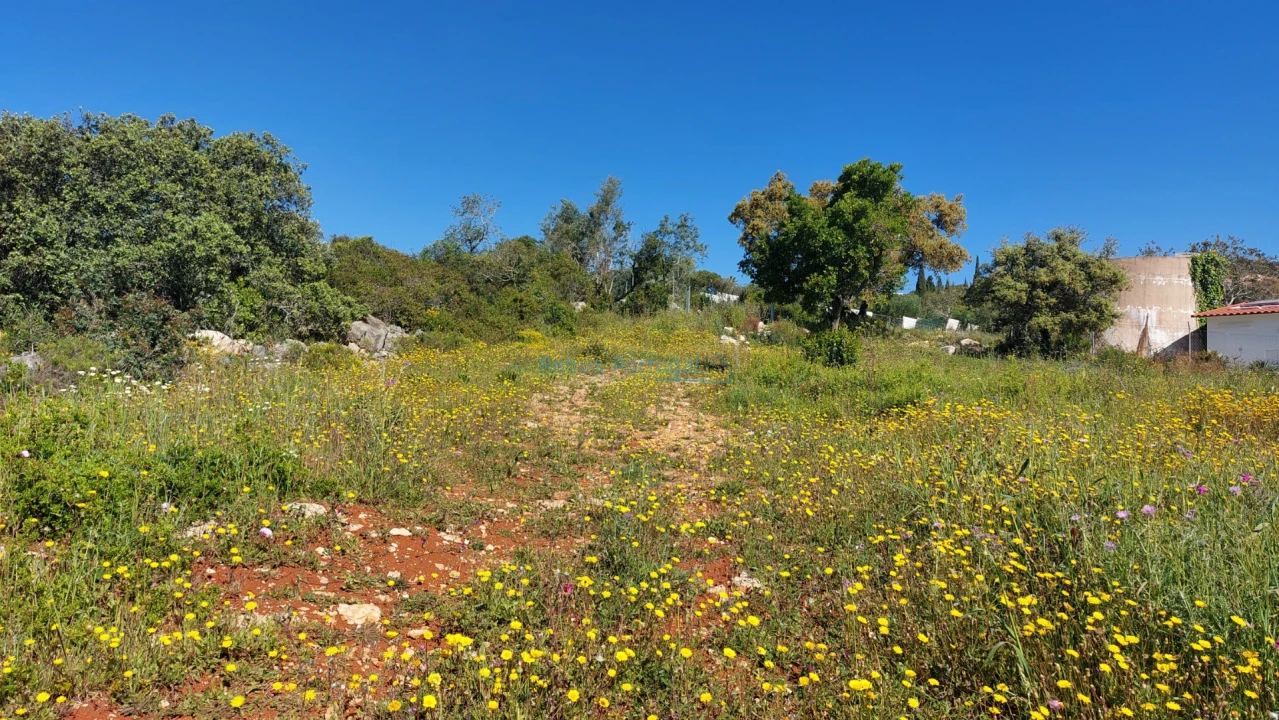 Terreno para Venda em Santa Barbara de Nexe Foto 7