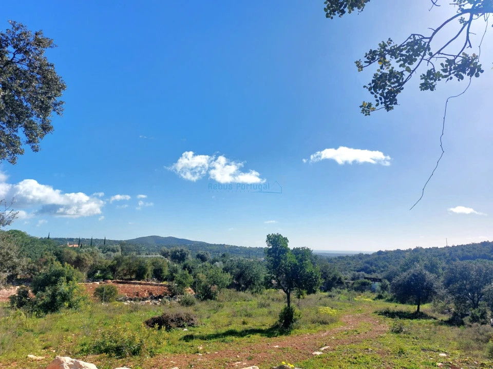 Terreno para Venda em Santa Barbara de Nexe Foto 5