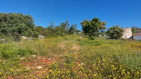 Terreno para Venda em Santa Barbara de Nexe