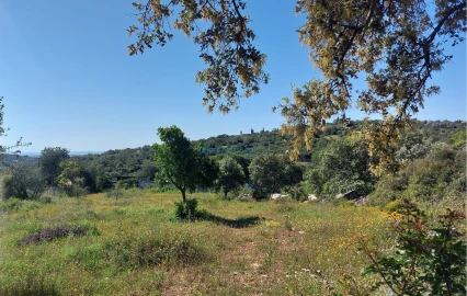 Terreno para Venda em Santa Barbara de Nexe