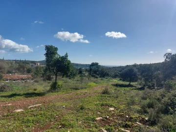 Terreno para Venda em Santa Barbara de Nexe