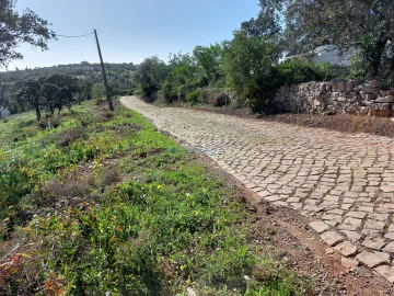 Terreno para Venda em Santa Barbara de Nexe
