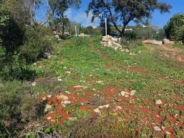 Terreno para Venda em Santa Barbara de Nexe
