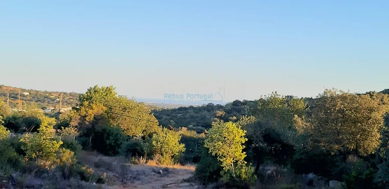 Terreno para Venda em Santa Barbara de Nexe