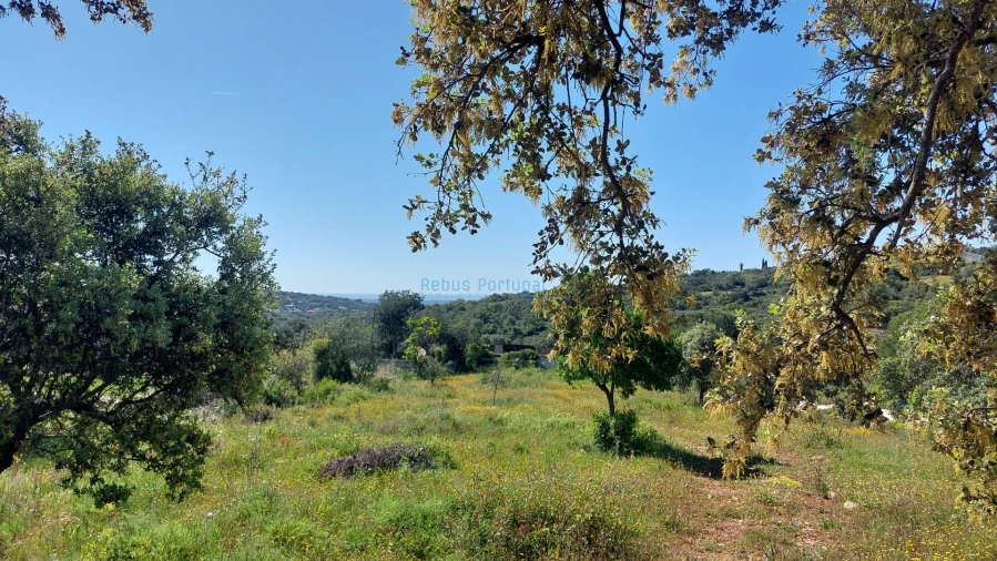 Terreno para Venda em Santa Barbara de Nexe Foto 2