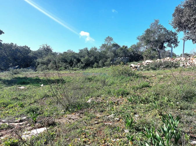 Terreno para Venda em Santa Barbara de Nexe Foto 8