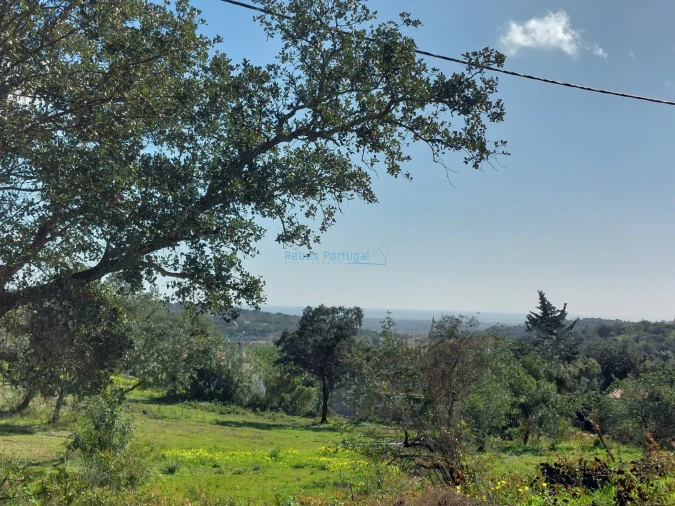 Terreno para Venda em Santa Barbara de Nexe Foto 13
