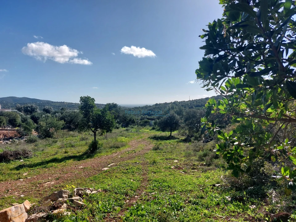 Terreno para Venda em Santa Barbara de Nexe Foto 1