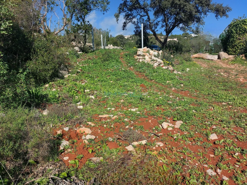 Terreno para Venda em Santa Barbara de Nexe Foto 9