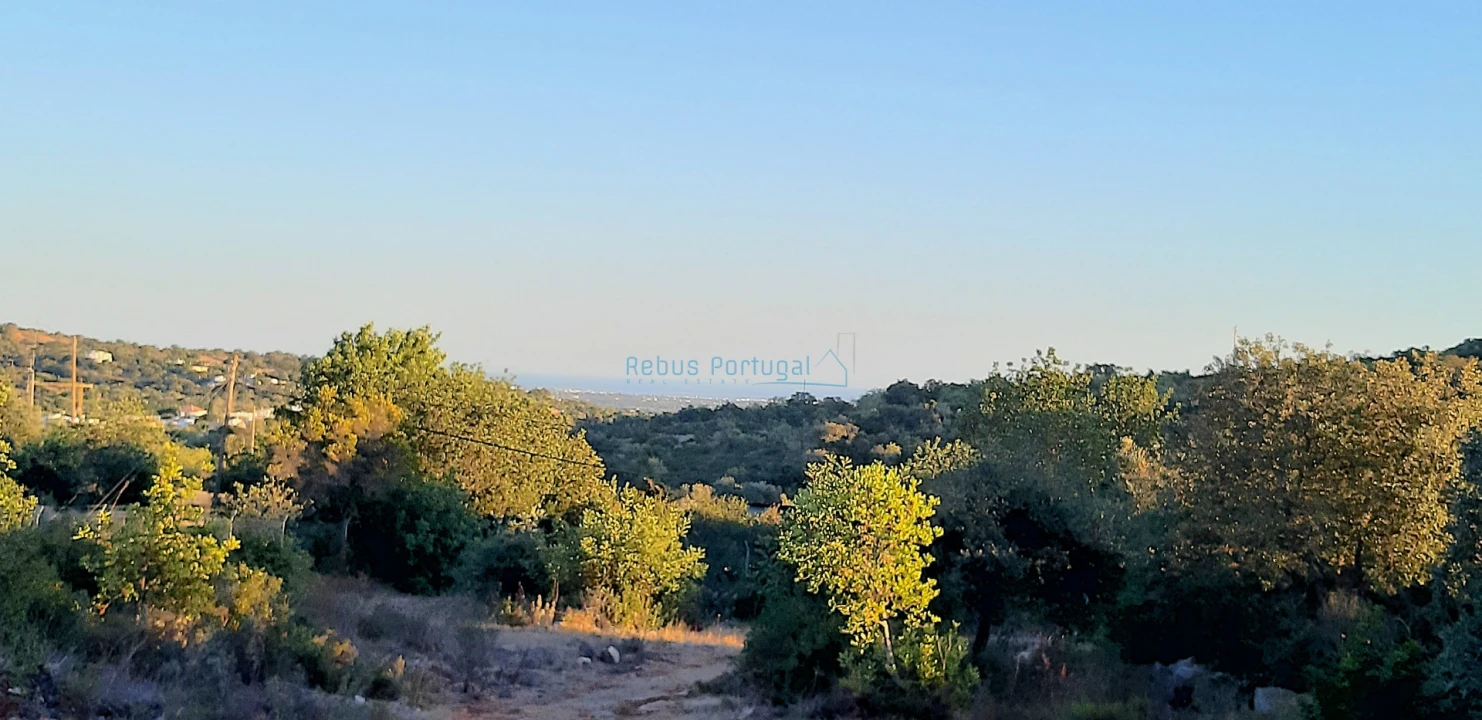 Terreno para Venda em Santa Barbara de Nexe Foto 6