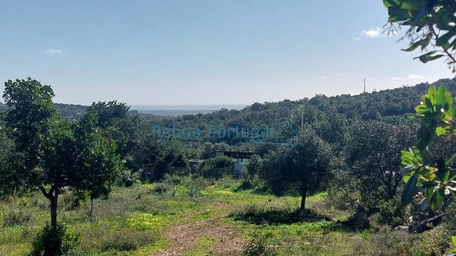 Terreno para Venda em Santa Barbara de Nexe