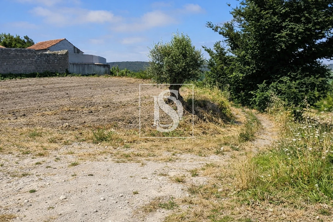 Terreno para Venda em Alqueidão Foto 12