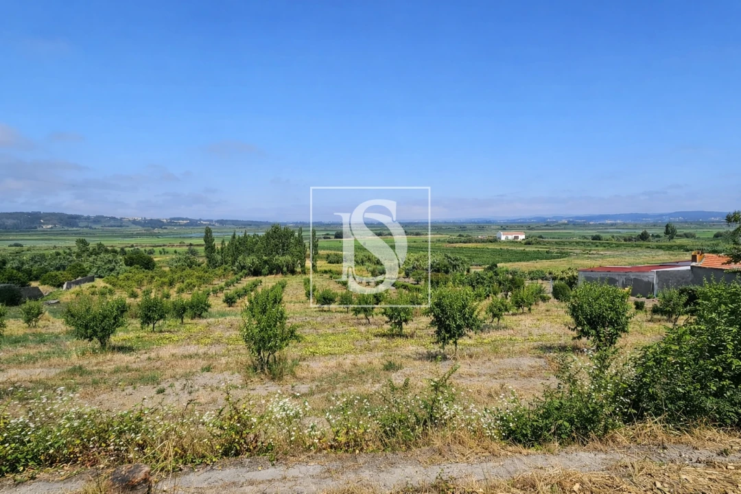 Terreno para Venda em Alqueidão Foto 32
