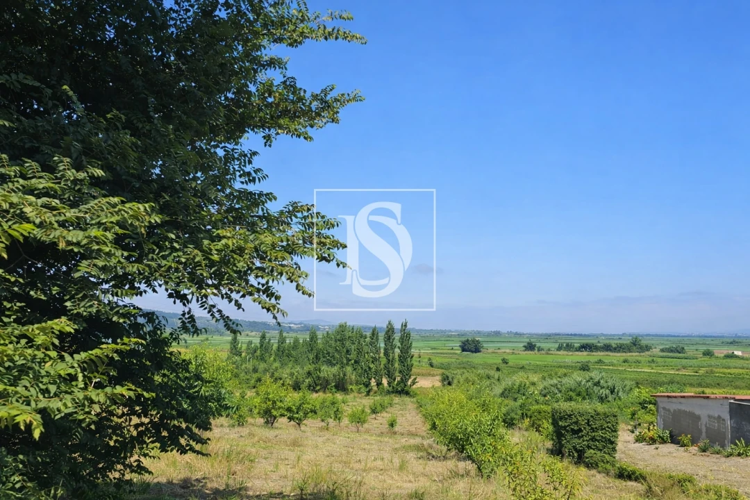 Terreno para Venda em Alqueidão Foto 5