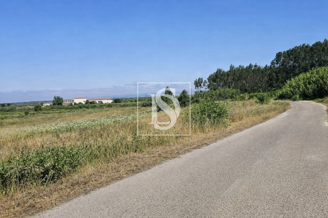 Terreno para Venda em Alqueidão Foto 23