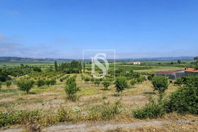 Terreno para Venda em Alqueidão
