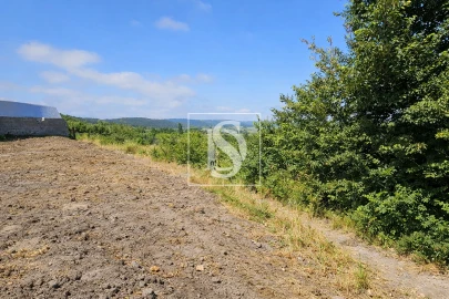 Terreno para Venda em Alqueidão
