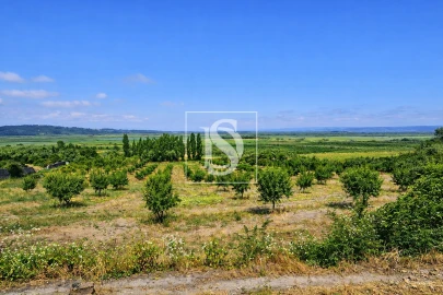 Terreno para Venda em Alqueidão