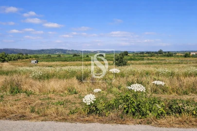 Terreno para Venda em Alqueidão