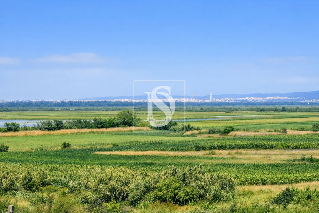 Terreno para Venda em Alqueidão Foto 31
