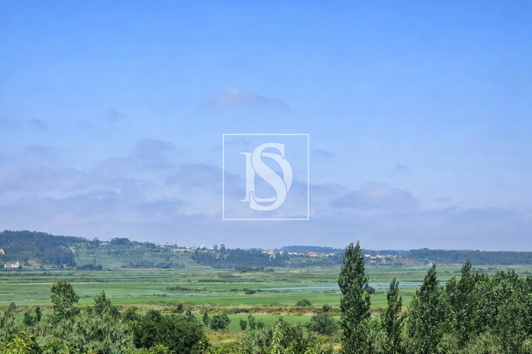 Terreno para Venda em Alqueidão Foto 24