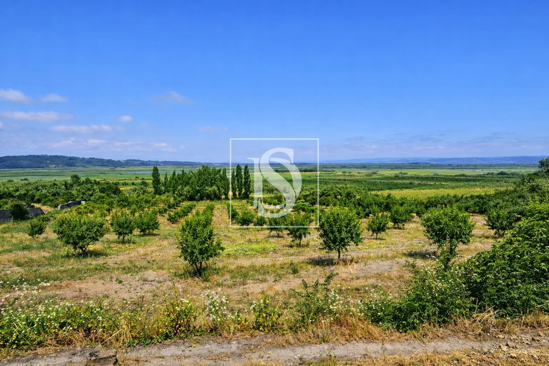 Terreno para Venda em Alqueidão Foto 33