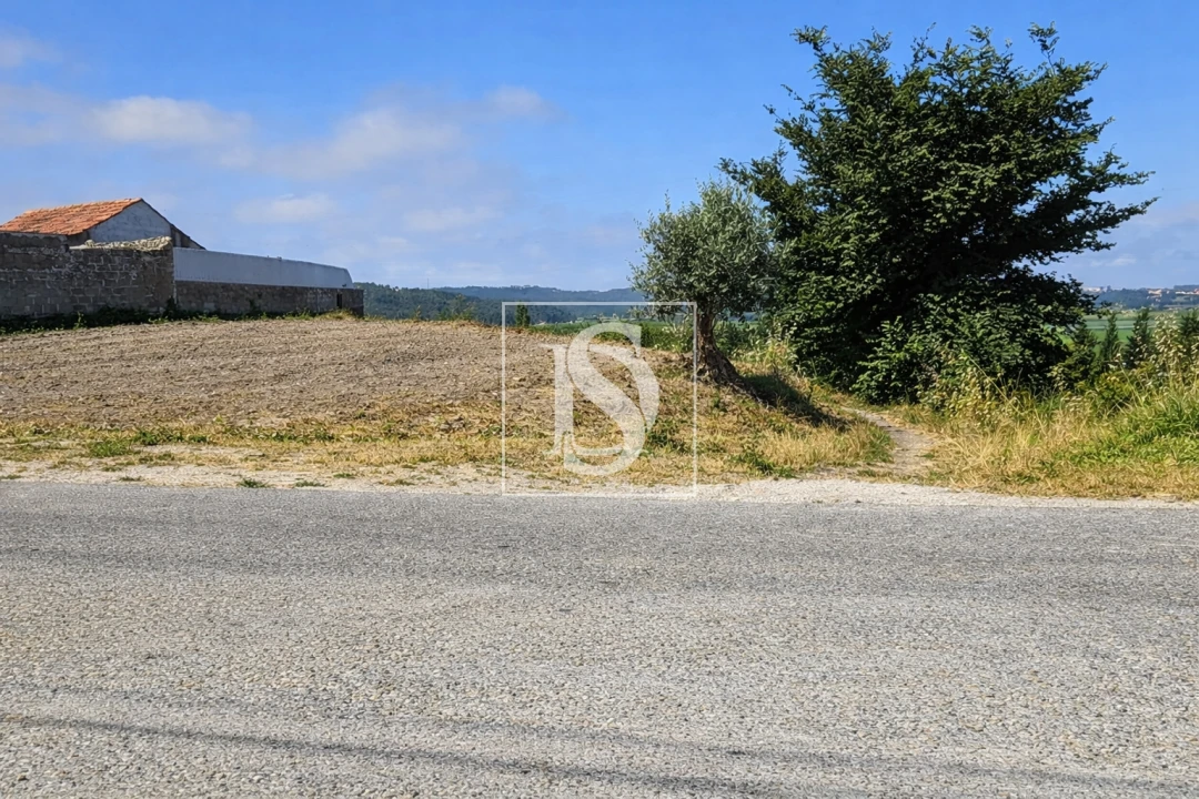 Terreno para Venda em Alqueidão Foto 15