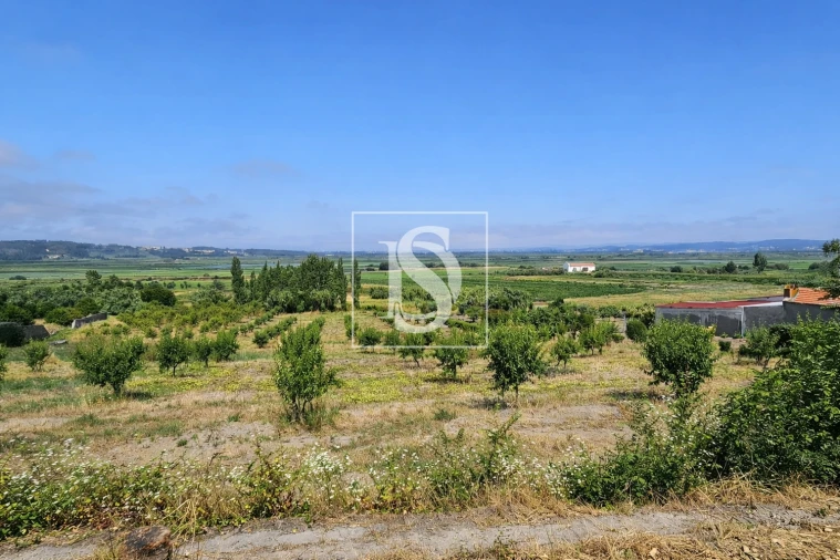 Terreno para Venda em Alqueidão Foto 32