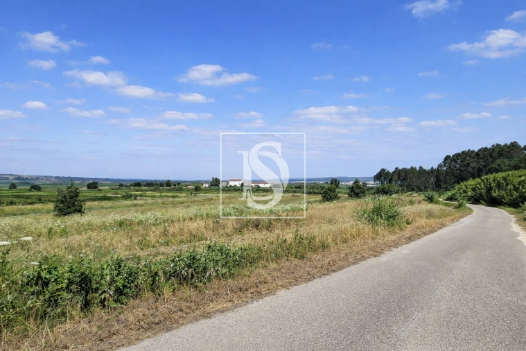Terreno para Venda em Alqueidão Foto 20