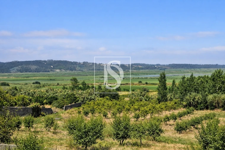 Terreno para Venda em Alqueidão Foto 30