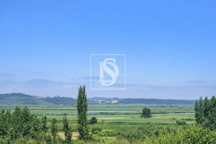 Terreno para Venda em Alqueidão Foto 29