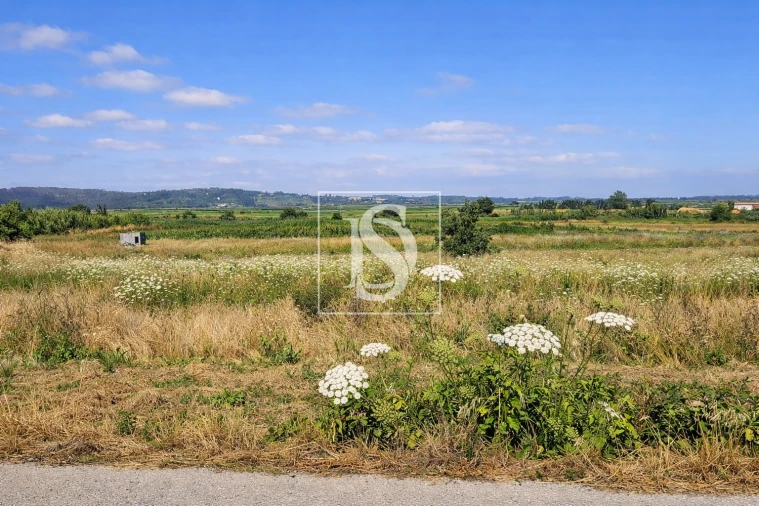 Terreno para Venda em Alqueidão Foto 22