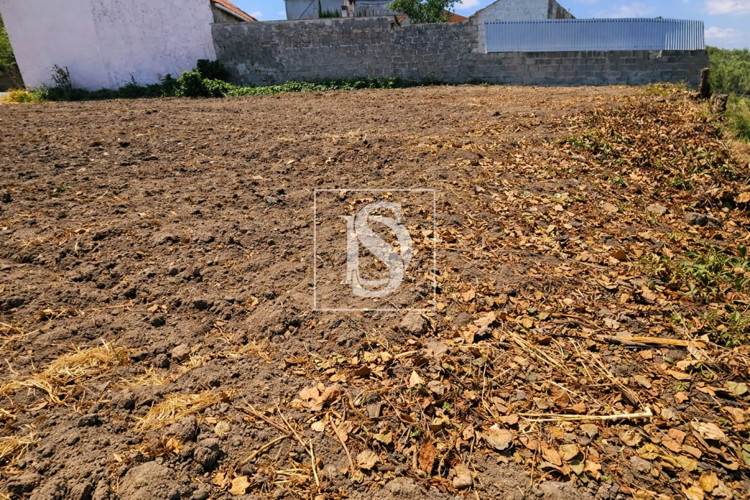 Terreno para Venda em Alqueidão Foto 14