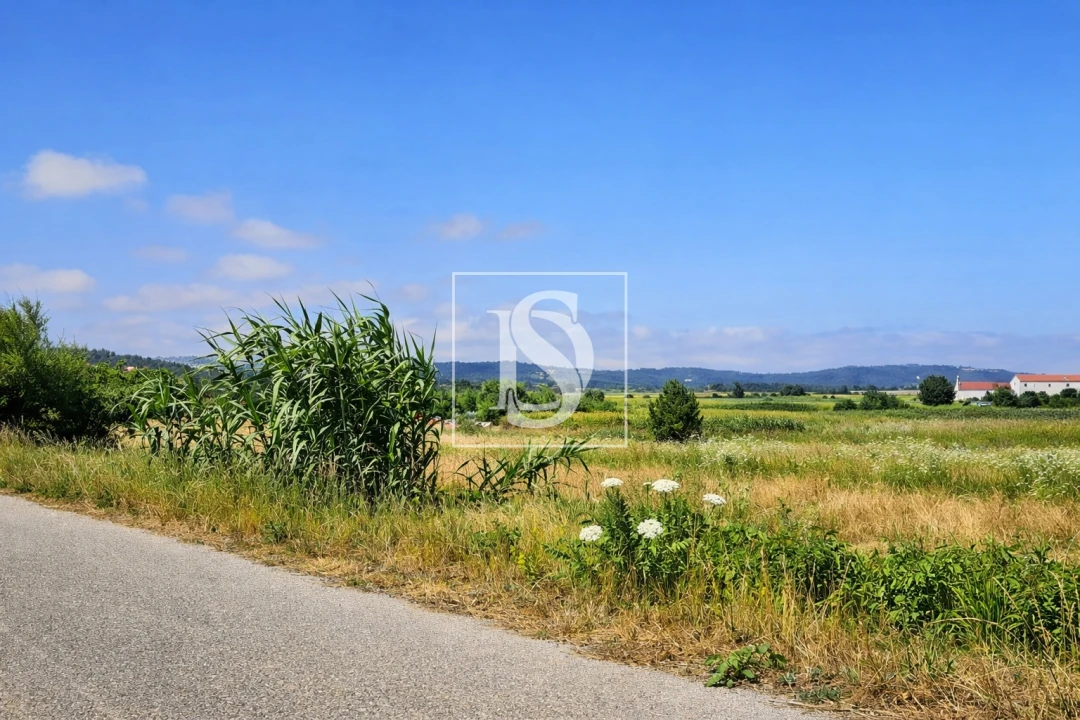 Terreno para Venda em Alqueidão Foto 18