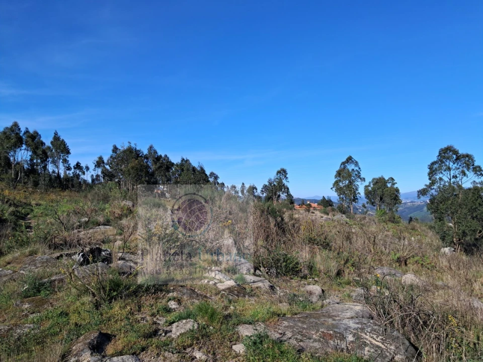 Terreno para Venda em Boelhe Foto 1