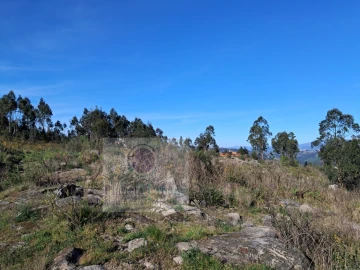 Terreno para Venda em Boelhe
