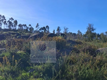 Terreno para Venda em Boelhe