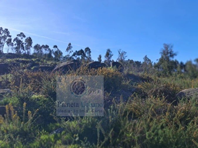 Terreno para Venda em Boelhe Foto 2