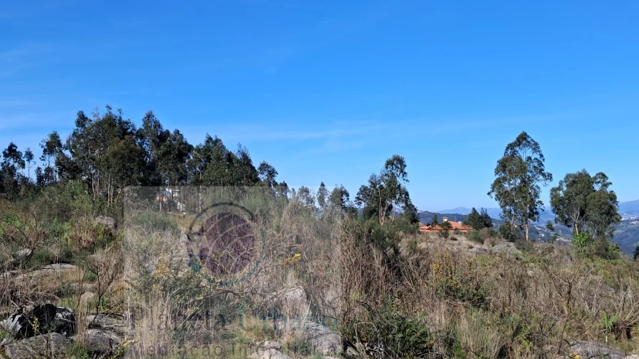 Terreno para Venda em Boelhe