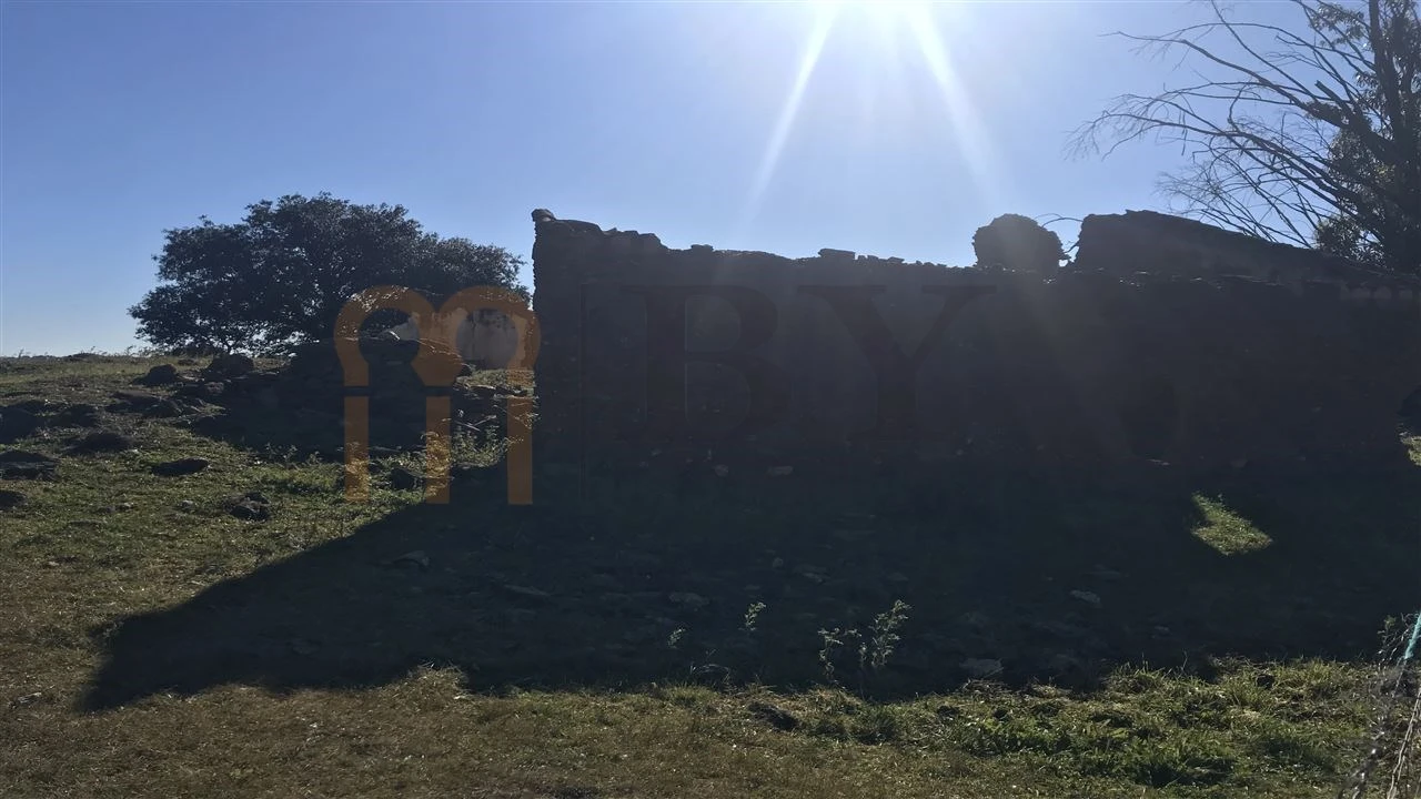 Quinta para Venda em Santana de Cambas Foto 4