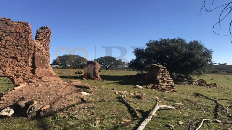 Quinta para Venda em Santana de Cambas