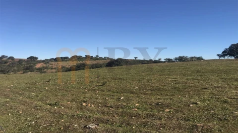 Quinta para Venda em Santana de Cambas